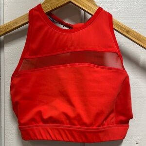 The Chestee Red Sports Bra